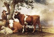 POTTER, Paulus Young Bull zg oil painting picture wholesale